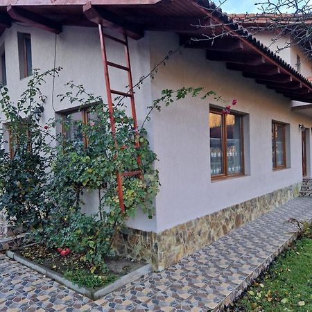 Casa Jan Bonca Acomodação com café da manhã Lorau Exterior foto