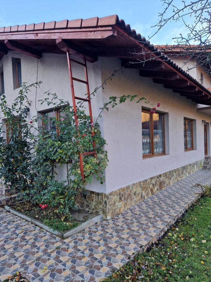 Casa Jan Bonca Acomodação com café da manhã Lorau Exterior foto