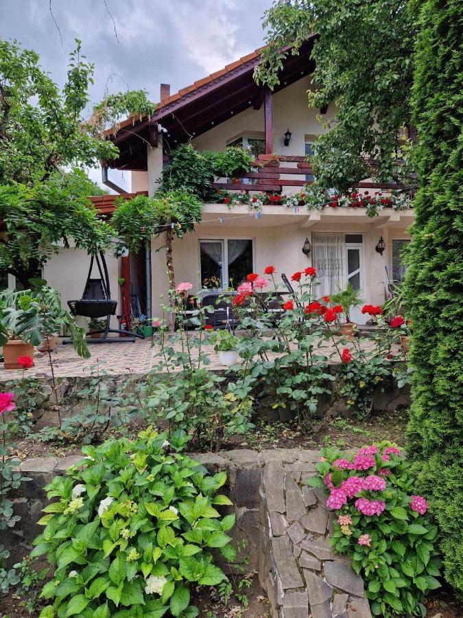 Casa Jan Bonca Acomodação com café da manhã Lorau Exterior foto